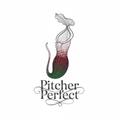 Elegant fine-line pitcher plant illustration with text Pitcher Perfect