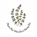 Vibrant watercolor thyme herb illustration with text Thyme Flies When You're Having Fun